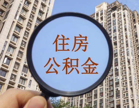 江山退休后查不到公积金明细了吗（退休后公积金查询不到原因）